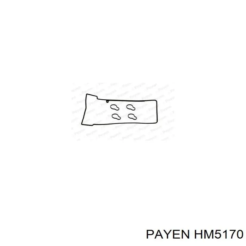 HM5170 Payen прокладка клапанної кришки двигуна, комплект