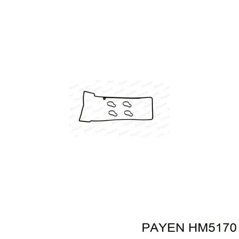 HM5170 Payen Прокладка клапанної кришки двигуна, комплект