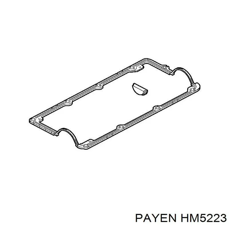 Прокладка клапанної кришки двигуна Payen HM5223 ціна, від 15.51 USD