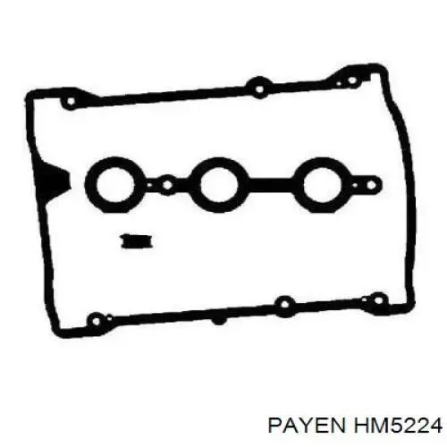 HM5224 Payen прокладка клапанної кришки двигуна, комплект