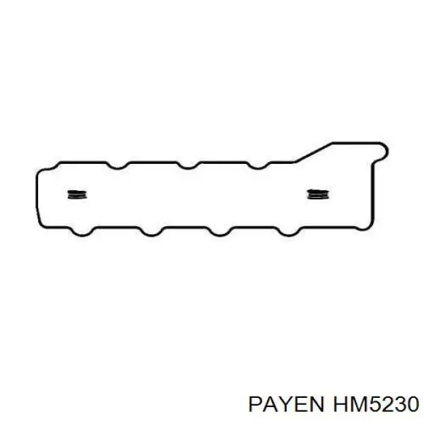 Купити HM5230 Payen Прокладка клапанної кришки двигуна, комплект