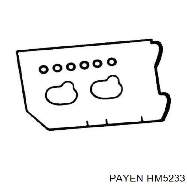 HM5233 Payen прокладка клапанної кришки, ліва