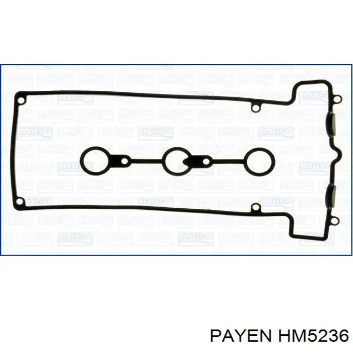 Прокладка клапанної кришки двигуна, комплект правий HM5236 PAYEN