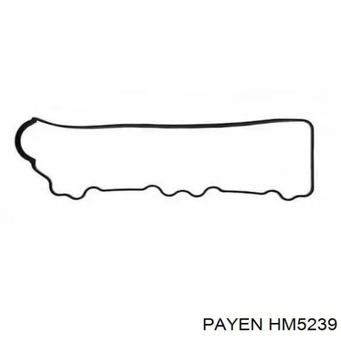 HM5239 Payen Прокладка кришки клапанної 