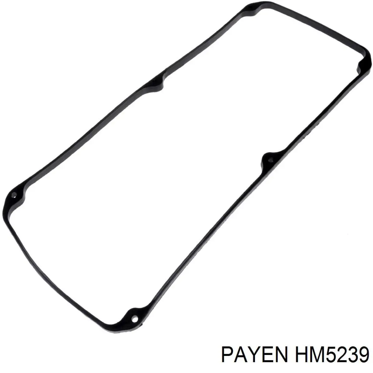 Купити HM5239 Payen Прокладка клапанної кришки