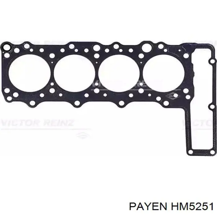 Купити HM5251 Payen Прокладка клапанної кришки двигуна, комплект