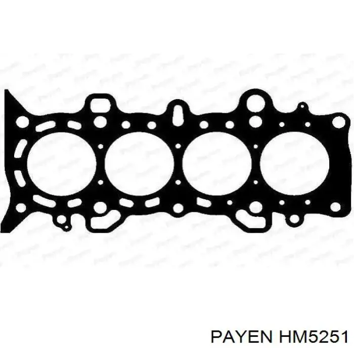 HM5251 Payen прокладка клапанної кришки двигуна, комплект