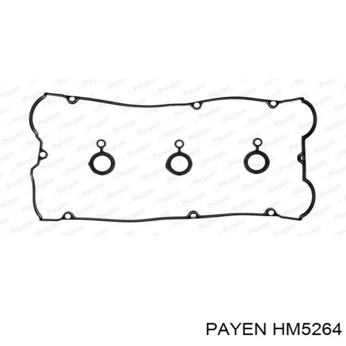 Прокладка клапанної кришки двигуна Payen HM5264 ціна, від 7.17 USD