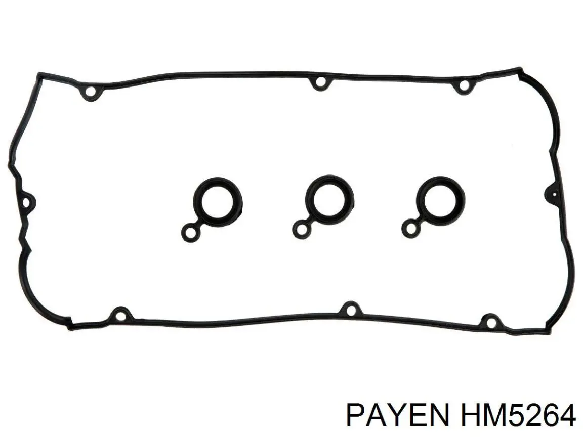 HM5264 Payen Прокладка кришки клапанної 