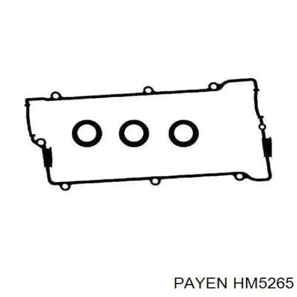 Купити HM5265 Payen Прокладка клапанної кришки двигуна, комплект