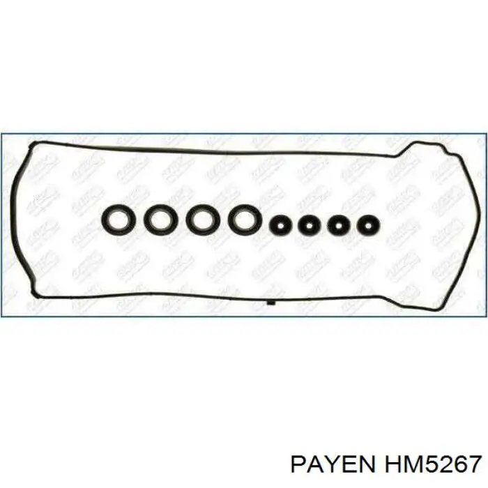 Купити HM5267 Payen Прокладка клапанної кришки