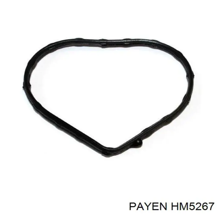Прокладка клапанної кришки двигуна Payen HM5267 ціна, від 23.40 USD