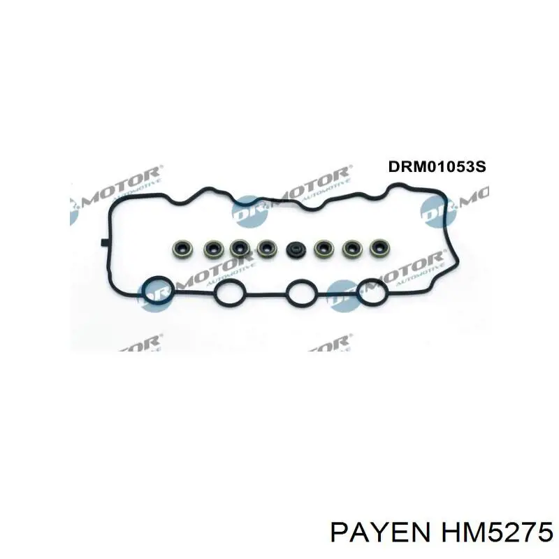 HM5275 Payen Прокладка клапанної кришки двигуна, комплект