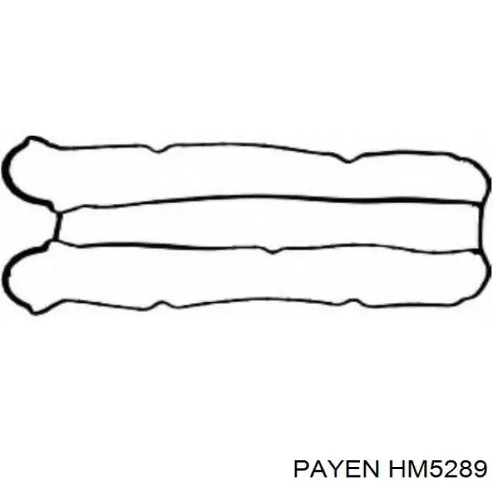Прокладка клапанної кришки двигуна, комплект Payen HM5289 ціна, від 31.82 USD