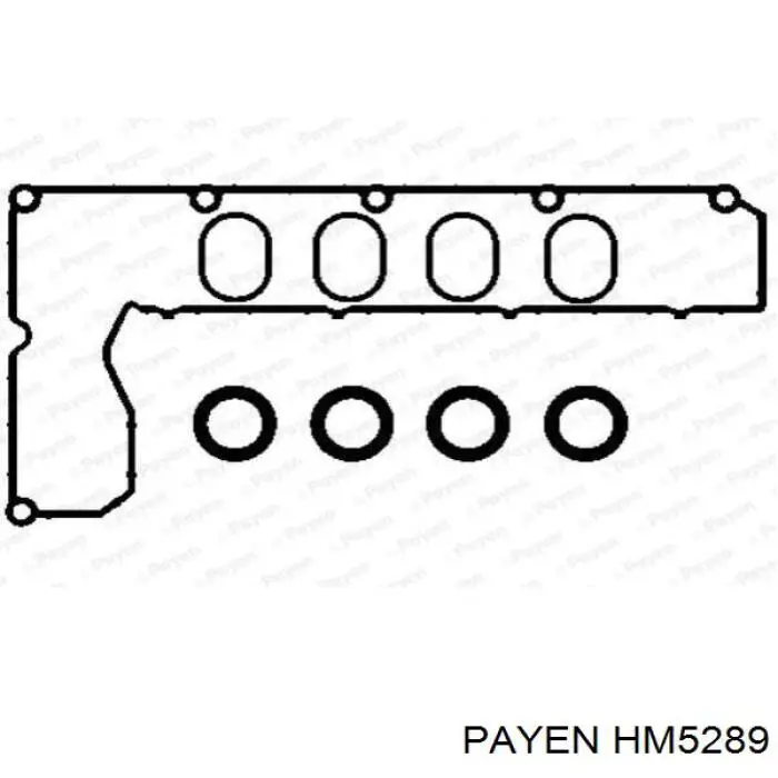 HM5289 Payen прокладка клапанної кришки двигуна
