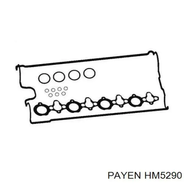 Купити HM5290 Payen Прокладка клапанної кришки