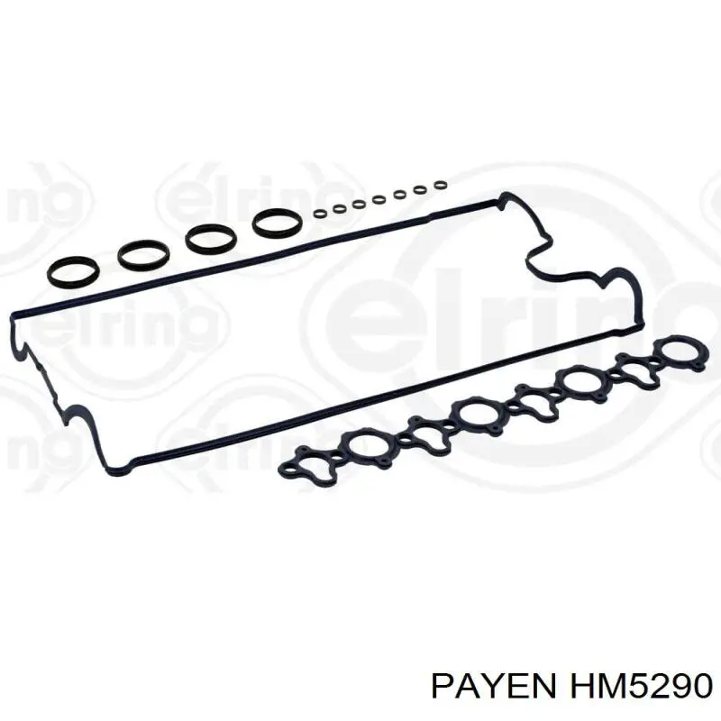 HM5290 Payen прокладка клапанної кришки двигуна