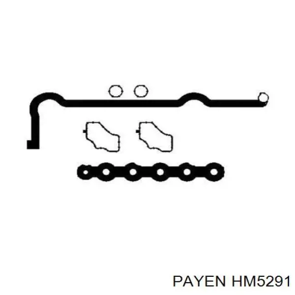 Купити HM5291 Payen Прокладка клапанної кришки двигуна, комплект