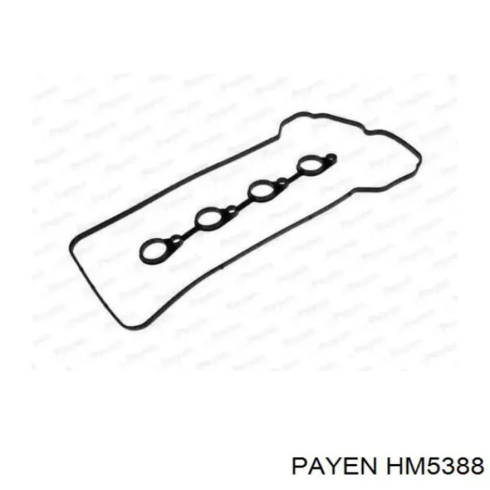 Купити HM5388 Payen Прокладка клапанної кришки двигуна, комплект