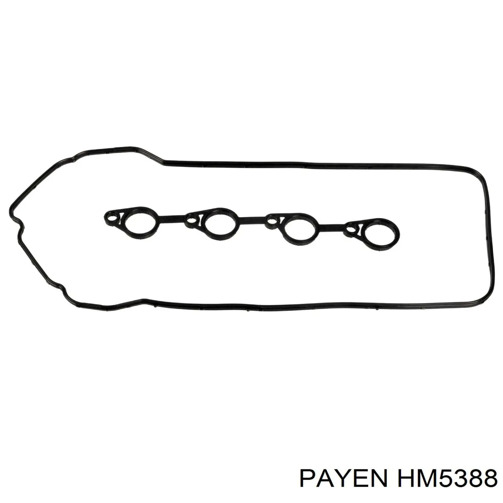 HM5388 Payen Прокладка клапанної кришки двигуна, комплект