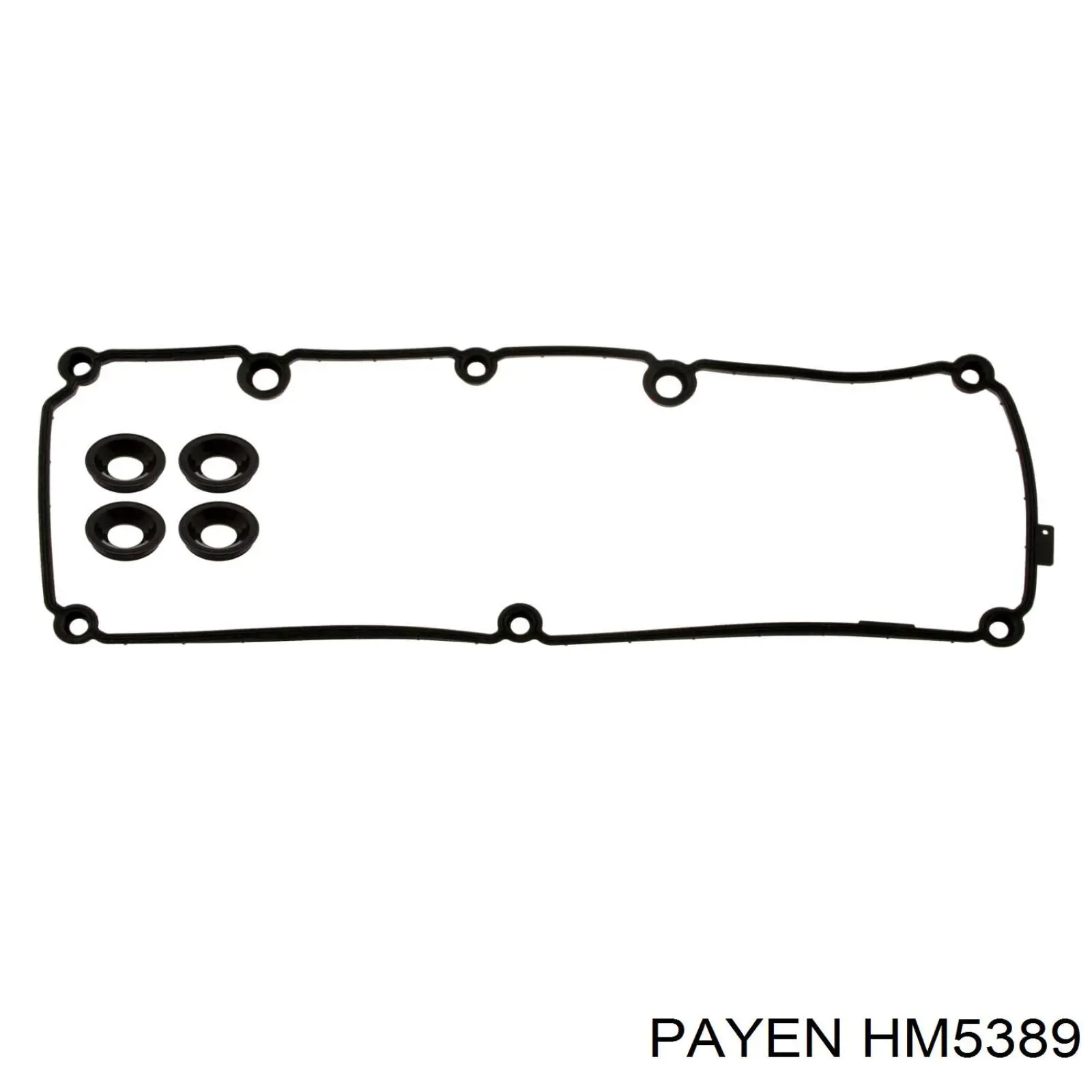 HM5389 Payen прокладка клапанної кришки двигуна, комплект