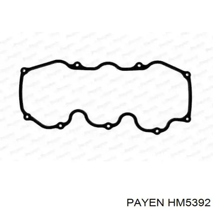 Прокладка клапанної кришки двигуна, комплект 7701479111 Renault (RVI)
