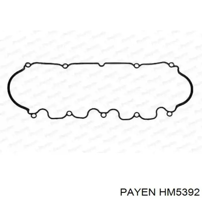 Прокладка клапанної кришки двигуна, комплект Renault (RVI) 7701479111