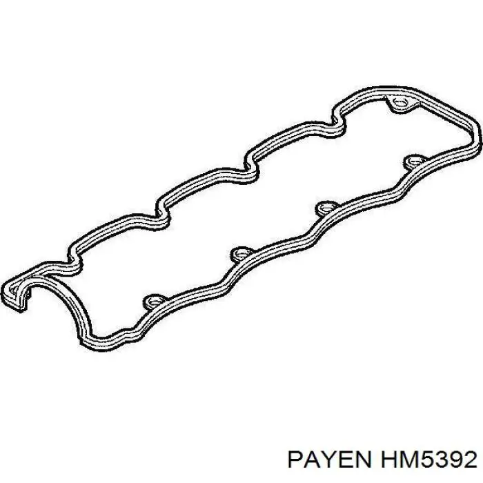 7701479111 Renault (RVI) Прокладка клапанної кришки двигуна, комплект