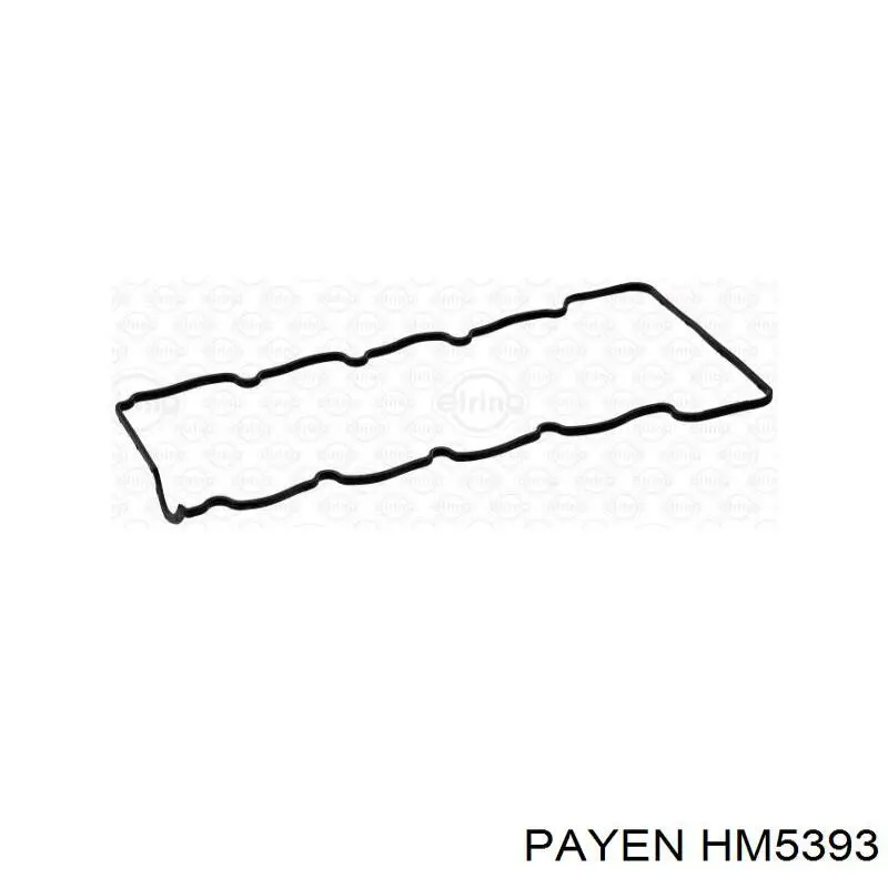 Купити HM5393 Payen Прокладка клапанної кришки двигуна, комплект