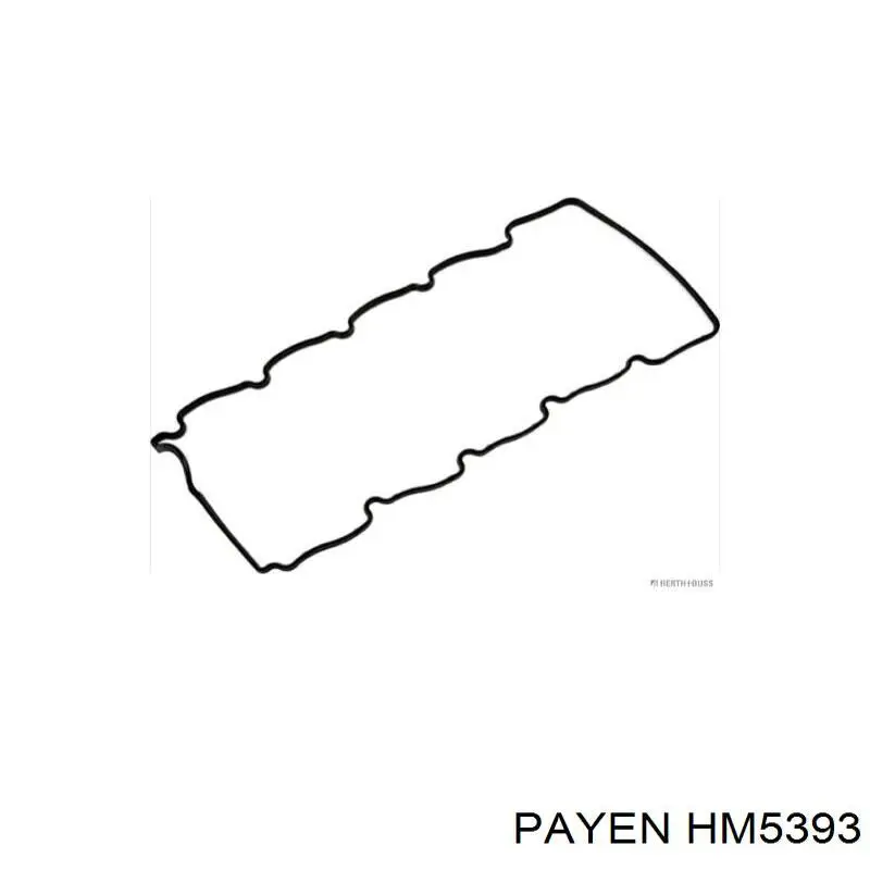 HM5393 Payen прокладка клапанної кришки двигуна, комплект