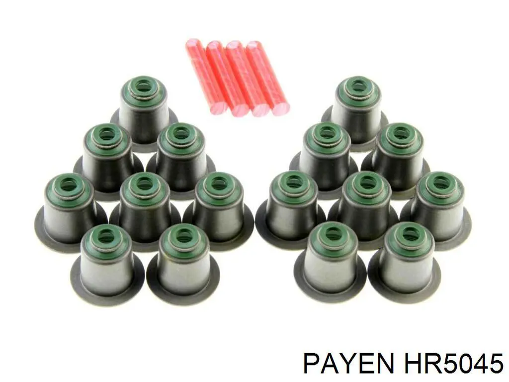 HR5045 Payen сальник клапана (маслознімний, впуск/випуск, комплект на мотор)