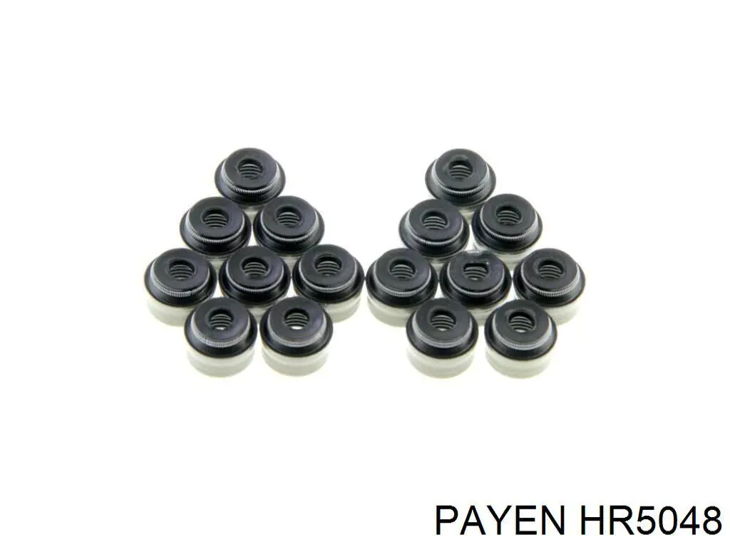 HR5048 Payen сальник клапана (маслознімний, впускного)