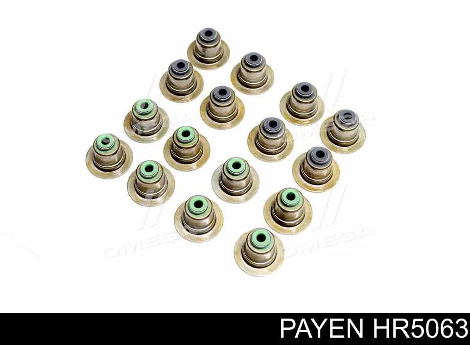 HR5063 Payen сальник клапана (маслознімний, впуск/випуск, комплект на мотор)