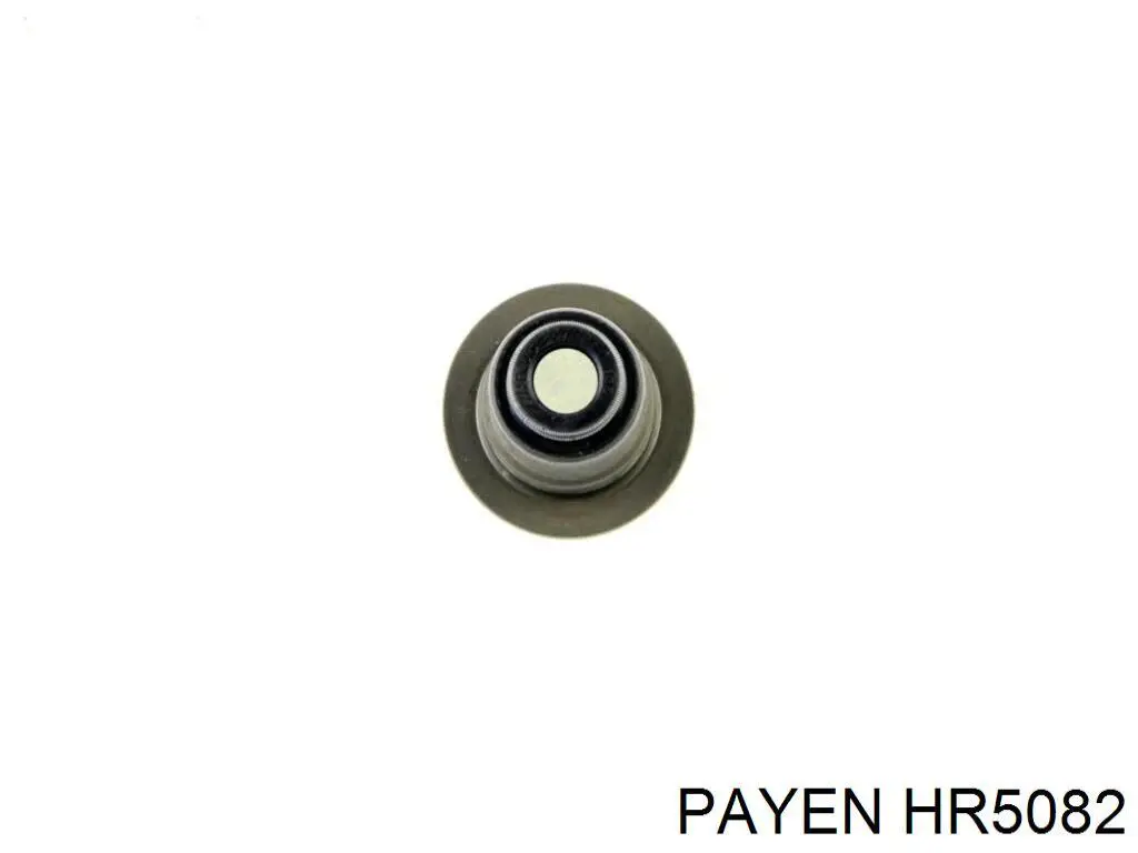 HR5082 Payen сальник клапана (маслознімний, впуск/випуск, комплект на мотор)