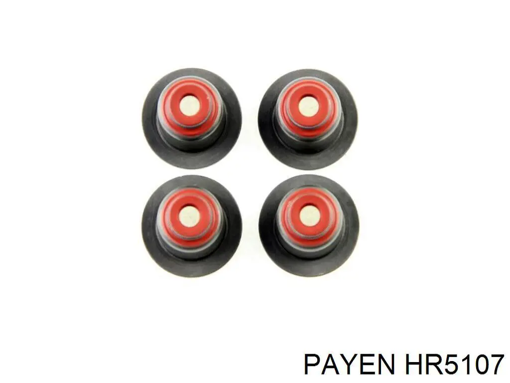 HR5107 Payen сальник клапана (маслознімний, впуск/випуск, комплект на мотор)
