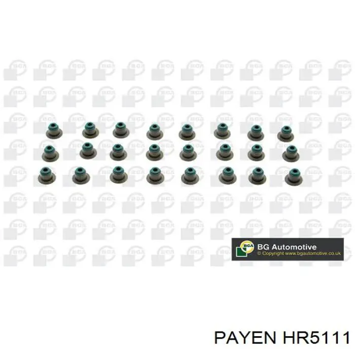 HR5111 Payen сальник клапана (маслознімний, впуск/випуск, комплект на мотор)