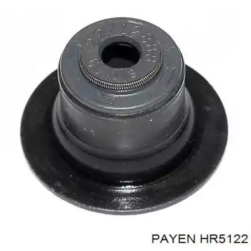 HR5122 Payen сальник клапана (маслознімний, впуск/випуск, комплект на мотор)