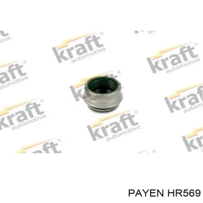 HR569 Payen сальник клапана (маслознімний, впуск/випуск, комплект на мотор)