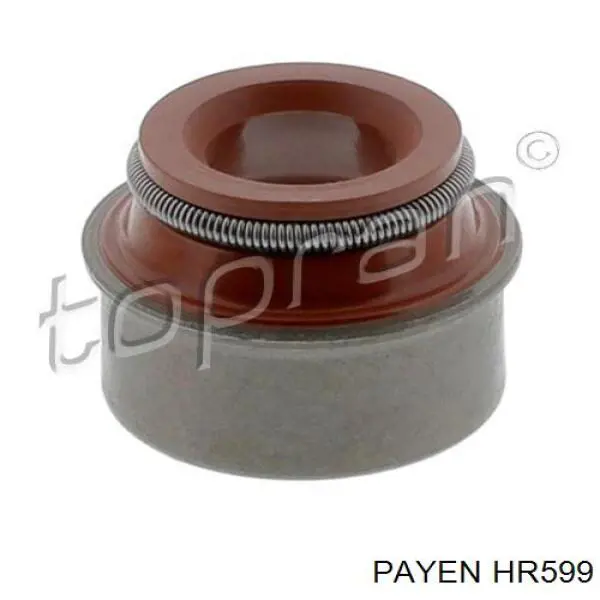 HR599 Payen сальник клапана (маслознімний, впуск/випуск)