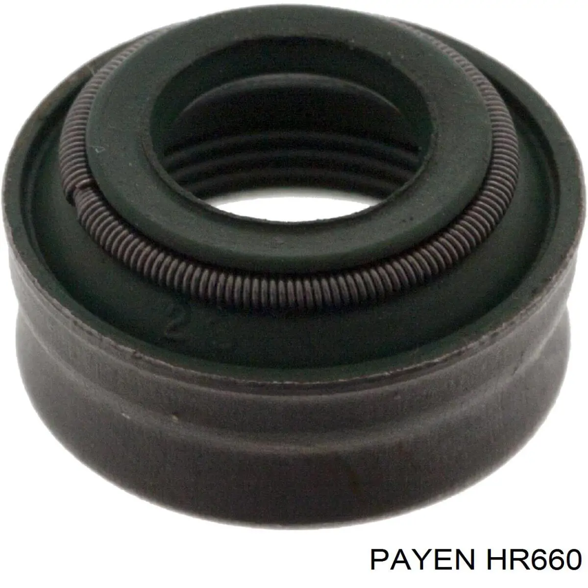 HR660 Payen сальник клапана (маслознімний, впуск/випуск, комплект на мотор)