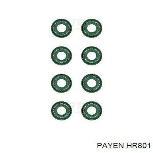 Купити HR801 Payen Сальник клапана (маслознімний), впуск/випуск, комплект на мотор