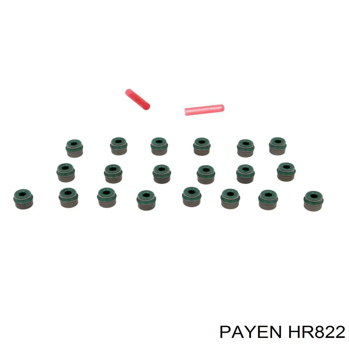 HR822 Payen сальник клапана (маслознімний, впуск/випуск, комплект на мотор)