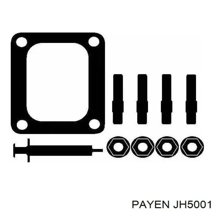  JH5001 Payen