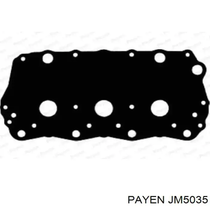 Прокладка клапанної кришки двигуна Payen JM5035 ціна, від 17.07 USD