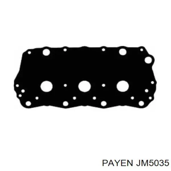 Купити JM5035 Payen Прокладка клапанної кришки