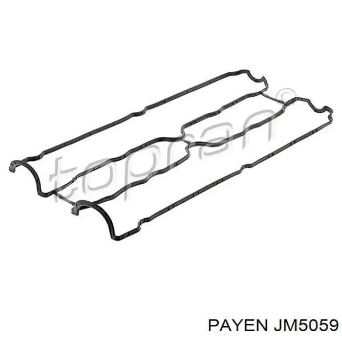 Прокладка клапанної кришки двигуна Payen JM5059 ціна, від 8.96 USD