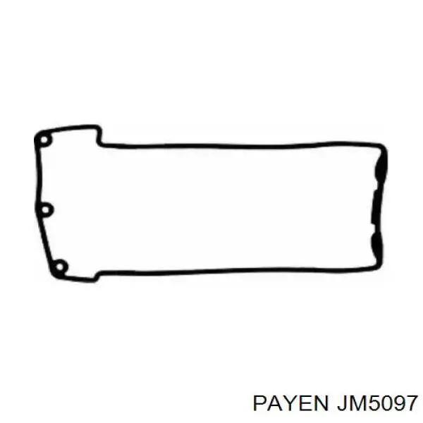 JM5097 Payen прокладка клапанної кришки, ліва