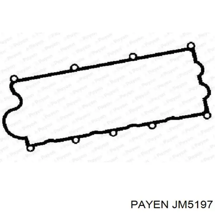 JM5197 Payen прокладка клапанної кришки двигуна