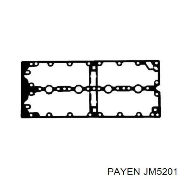 Прокладка клапанної кришки двигуна Payen JM5201 ціна, від 22.68 USD