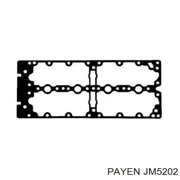 JM5202 Payen прокладка клапанної кришки двигуна